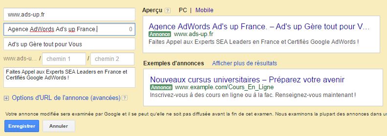 Visualisation_Adwords_Tronqué1